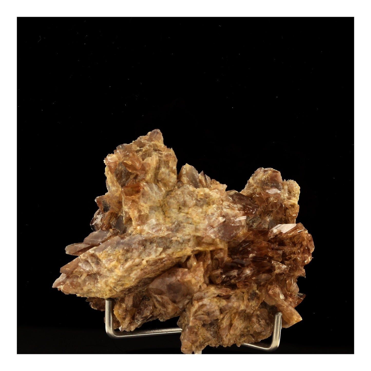 Axinite. 289.50 carats. Chamrousse, Belledonne, Isère, France