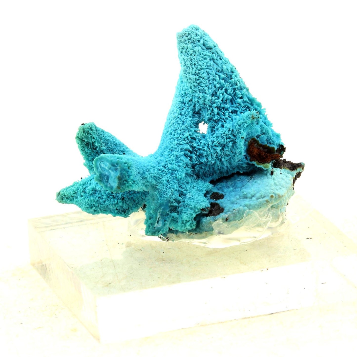 Chrysocolle. 52.5 carats. Mexique