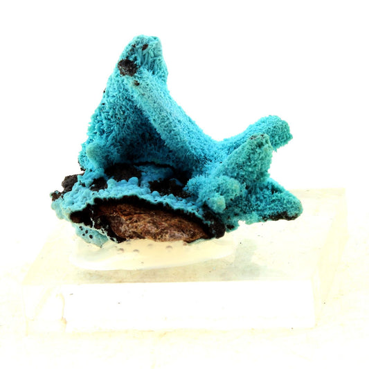 Chrysocolle. 52.5 carats. Mexique