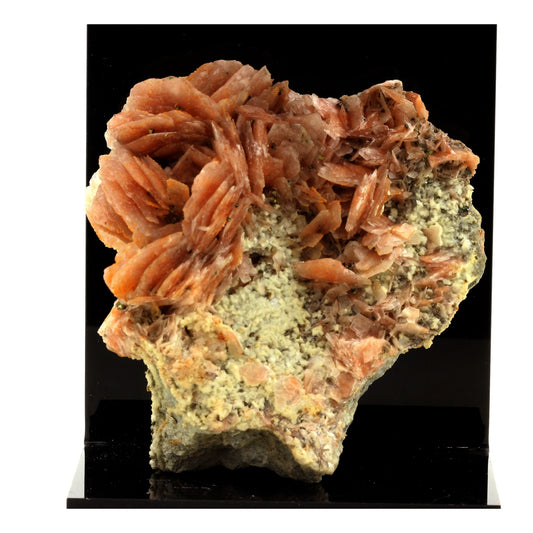 Baryte + Pyrite. 1977.0 carats. Maroc