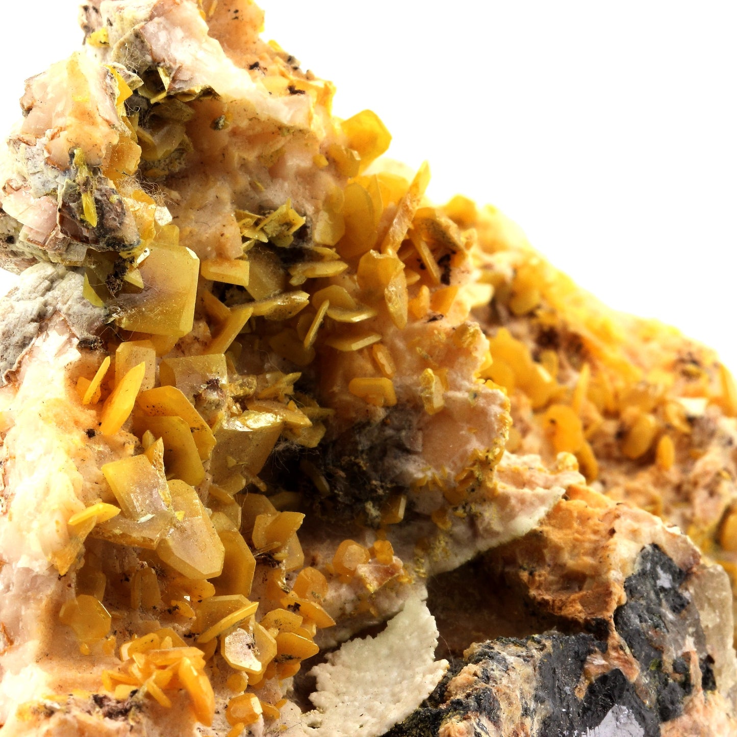 Wulfenite + Galène. 1642.5 carats. Touissit, Jerada Province, Maroc