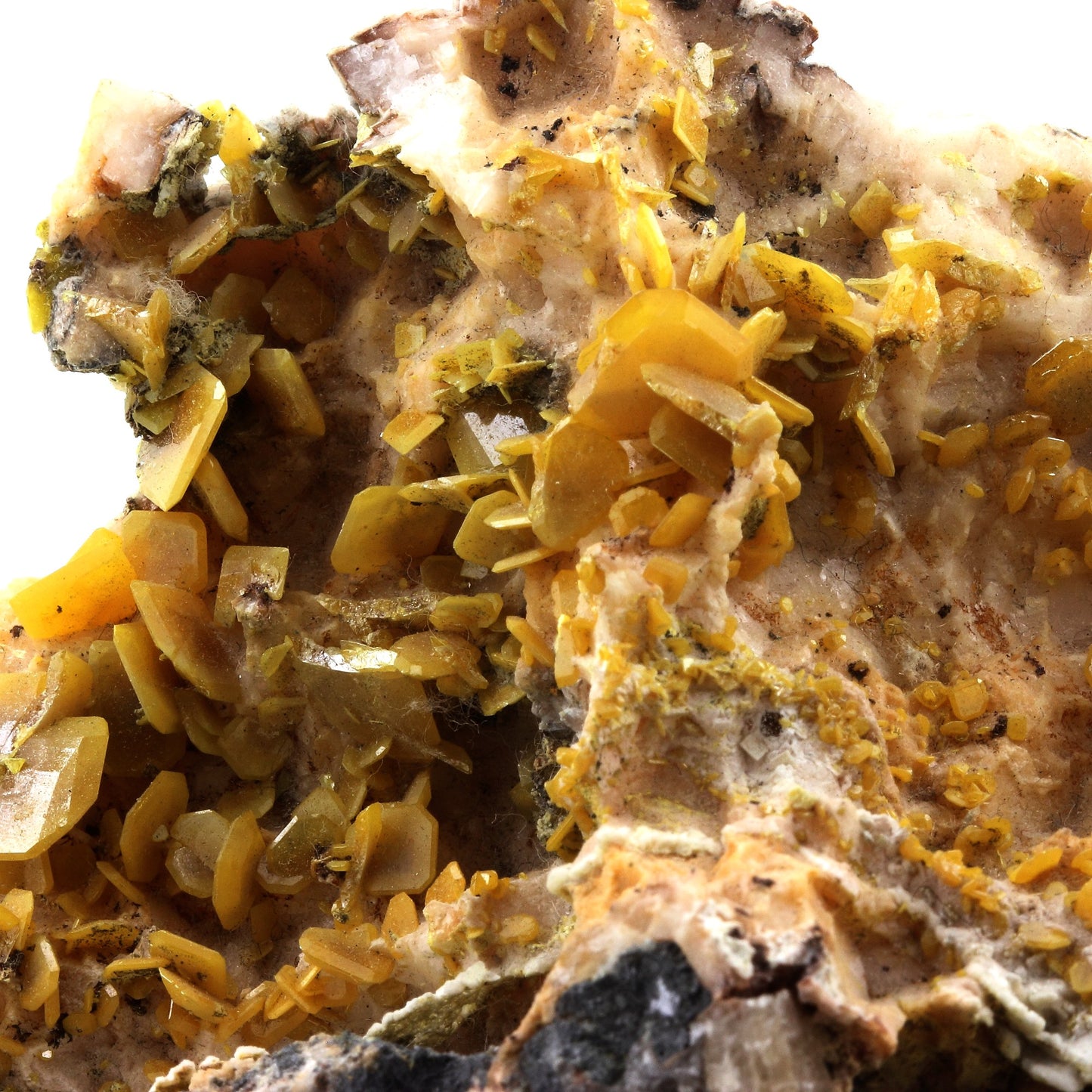 Wulfenite + Galène. 1642.5 carats. Touissit, Jerada Province, Maroc