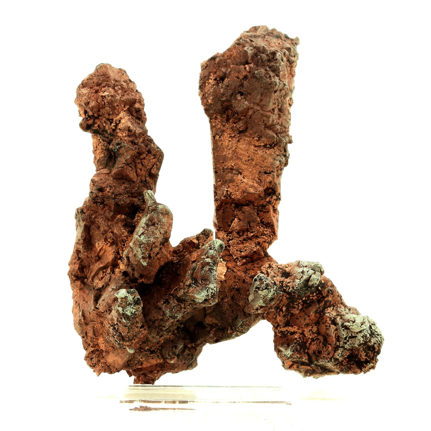 Cuivre natif + Argent natif. 1049.0 carats. Rubtsovsk Mine, Russie