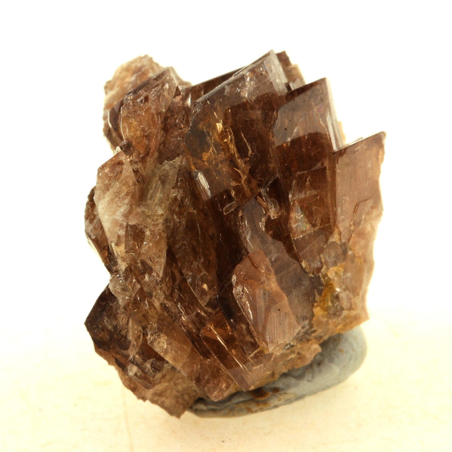 Axinite. 115.0 carats. Chamrousse, Isère, France