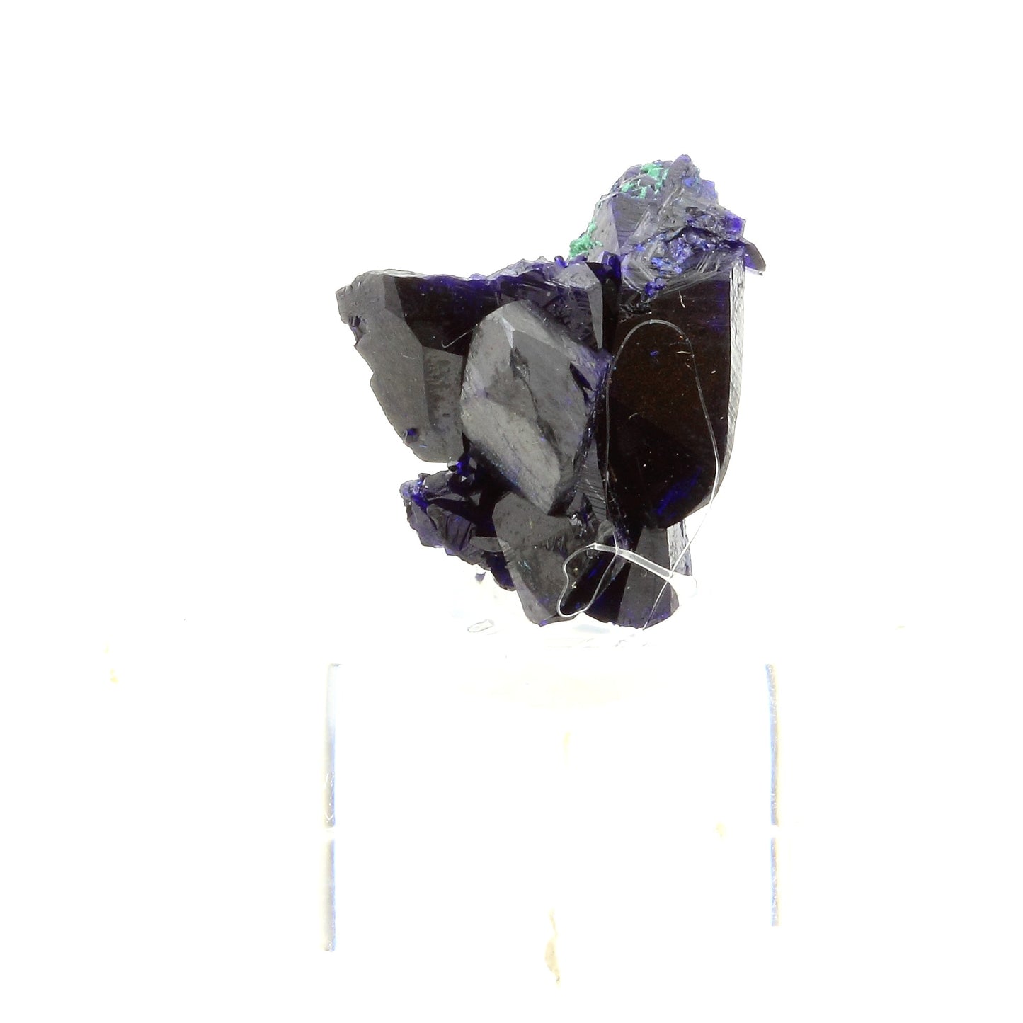 Azurite. 68.0 carats. Milpillas Mine, Sonora, Mexique