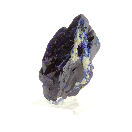 Azurite. 116.0 carats. Milpillas Mine, Sonora, Mexique