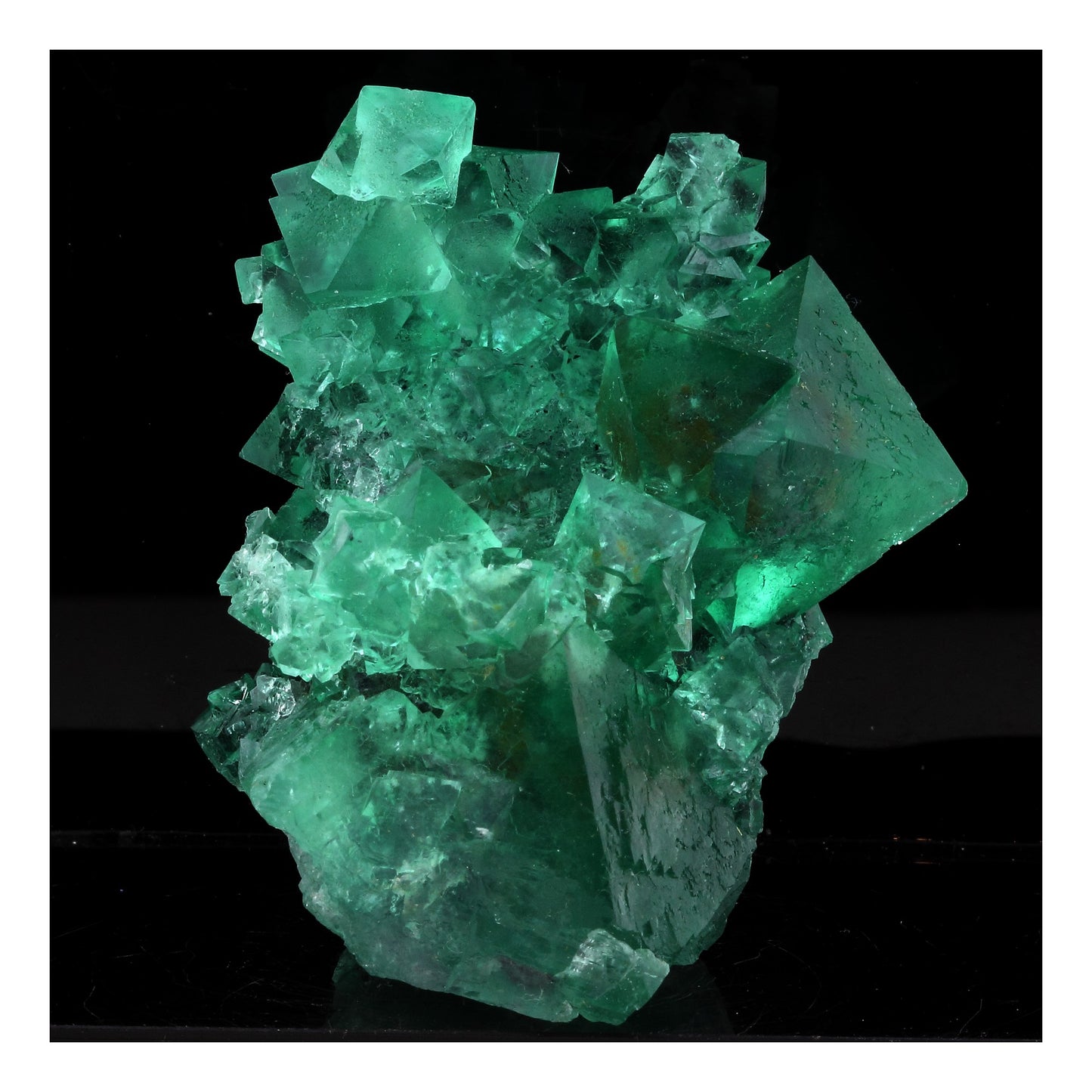 Fluorite. 541.0 carats. Riemvasmaak, Northern Cape, Afrique du Sud