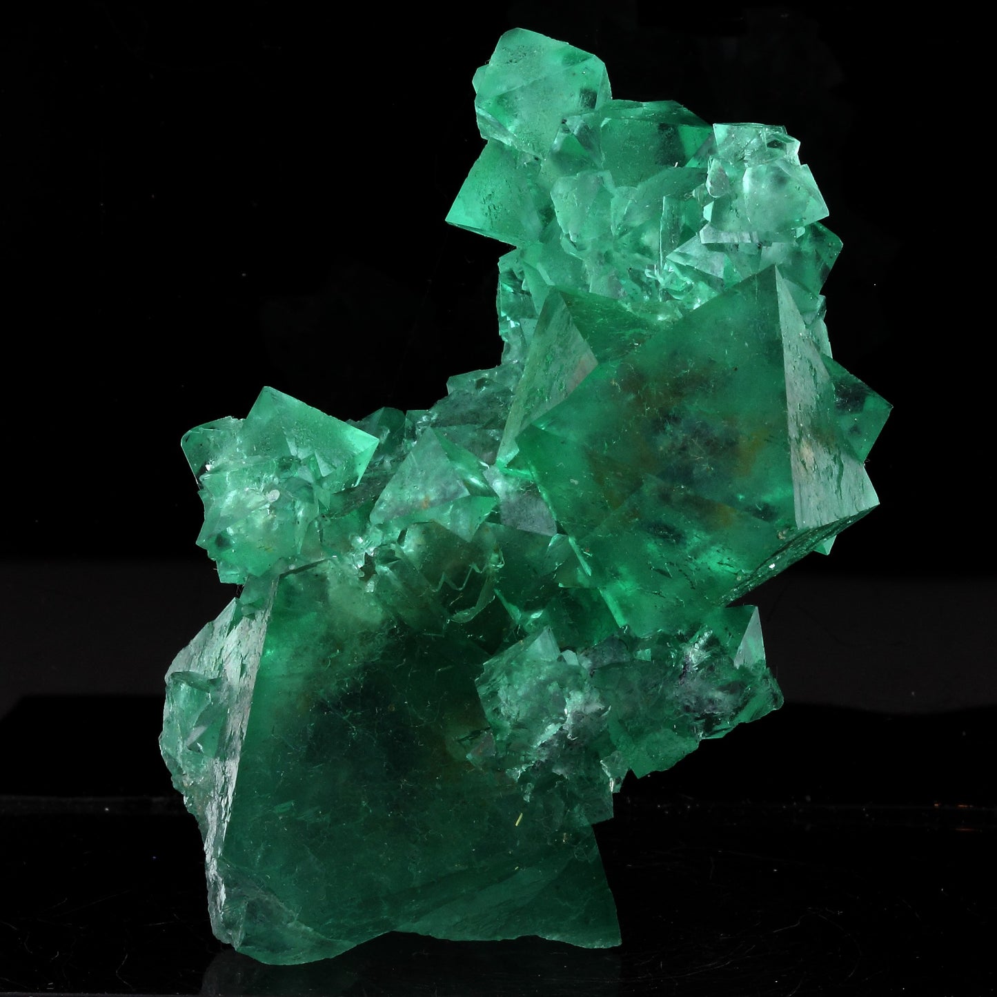 Fluorite. 541.0 carats. Riemvasmaak, Northern Cape, Afrique du Sud