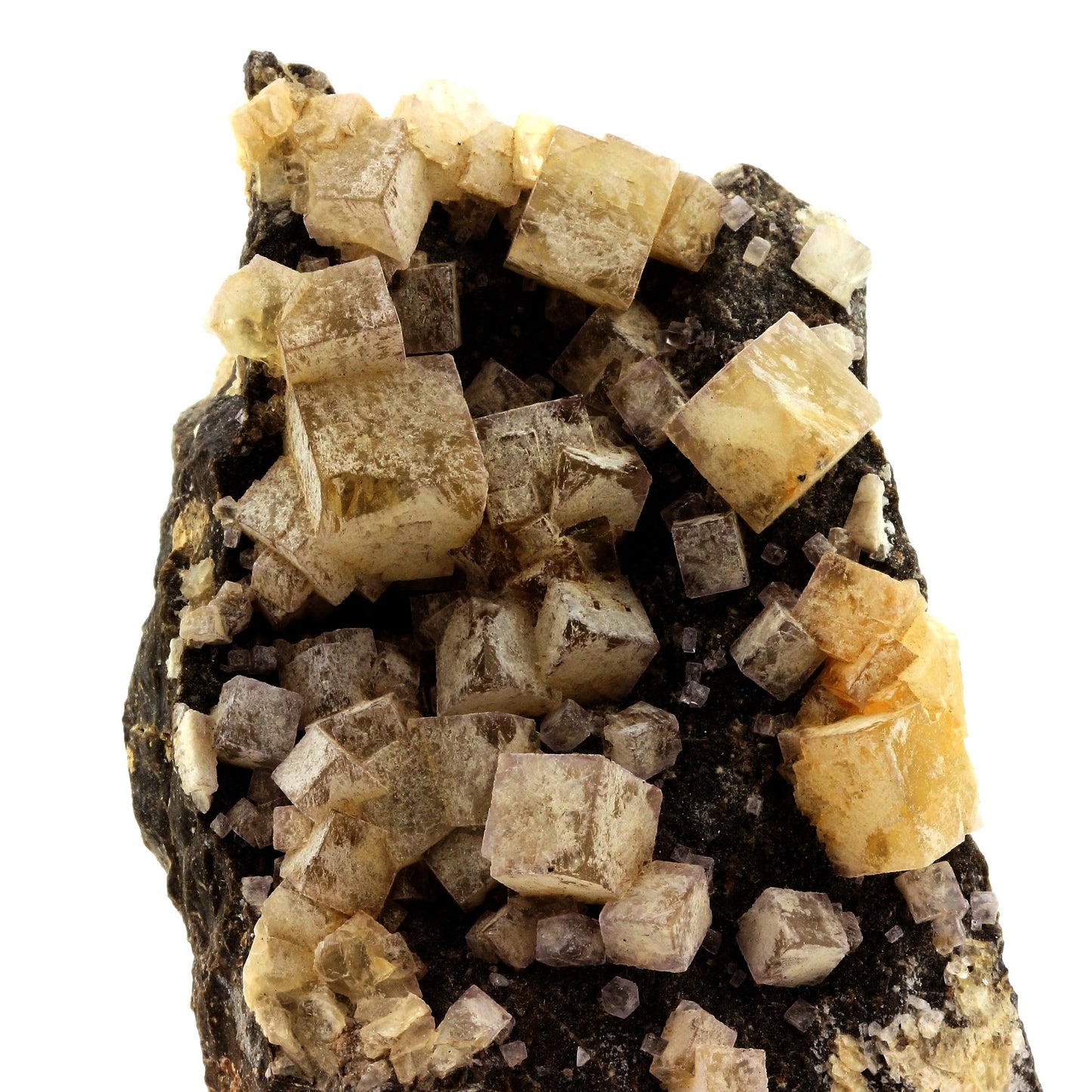 Fluorite. 1301.30 carats. Thorigné-Beausoleil, Deux Sèvres, France