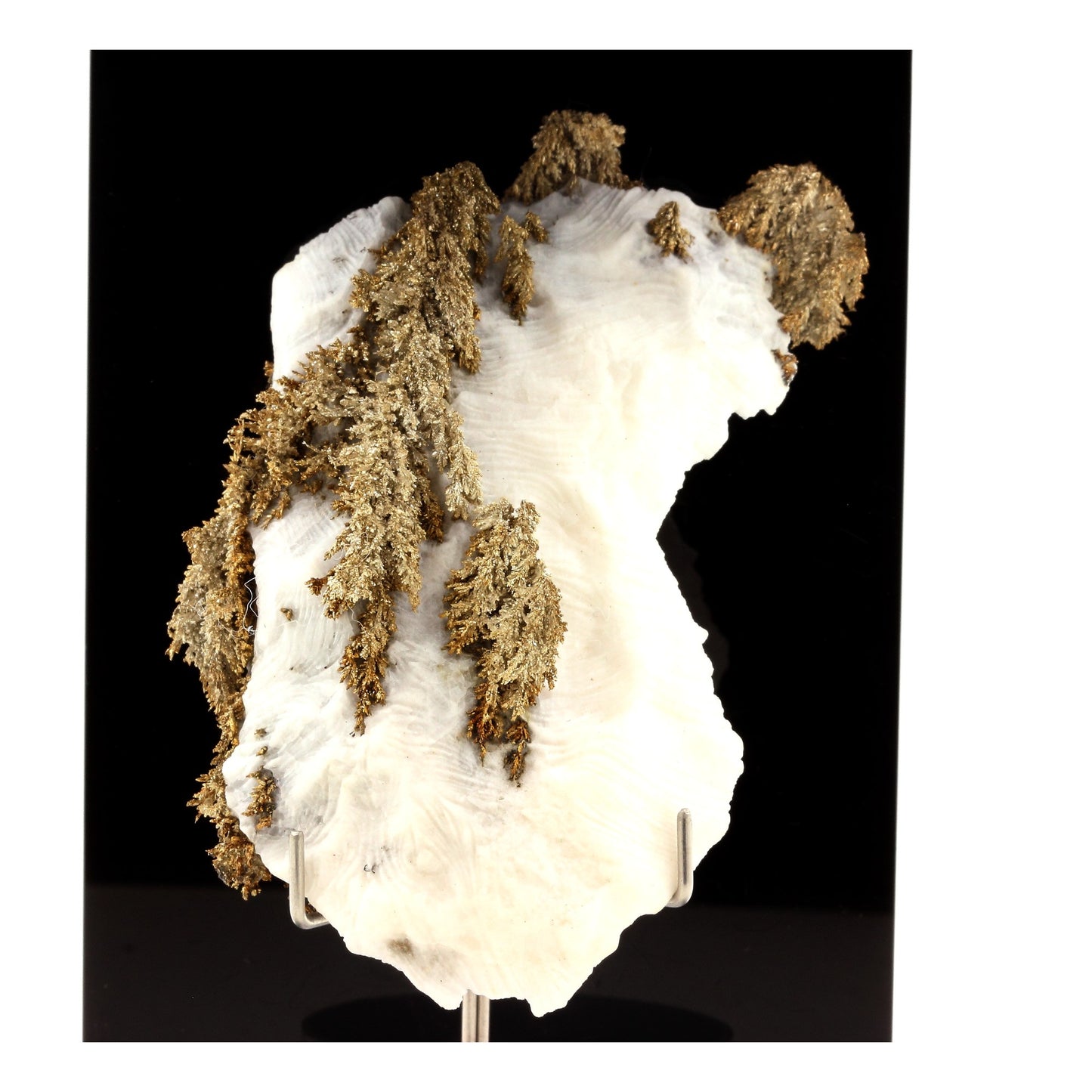 Argent natif. 810.5 carats. Imiter Mine, Drâa-Tafilalet, Maroc