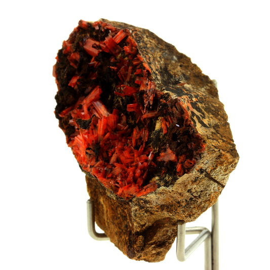 Crocoite. 179.5 carats. Adelaide Mine, Dundas, Tasmania, Australie