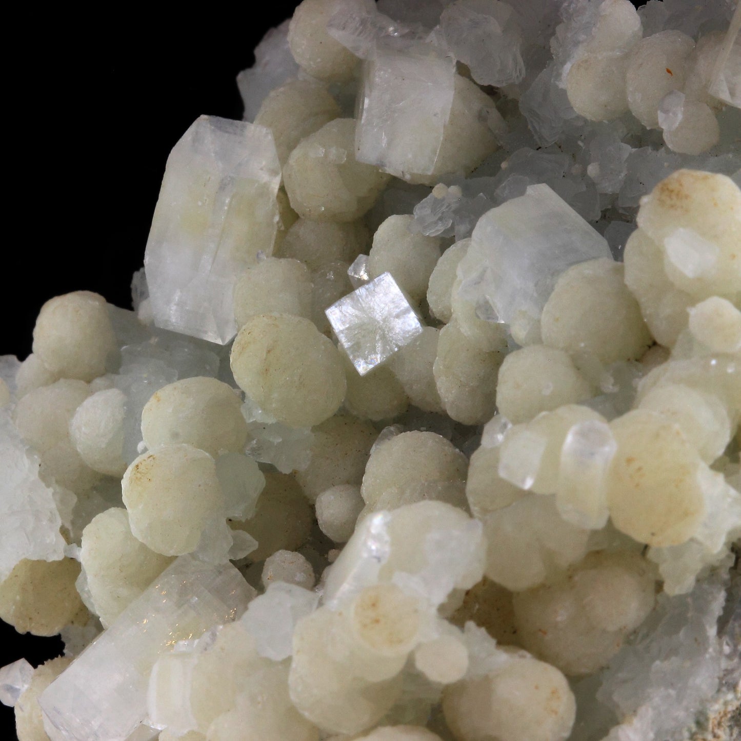 Okenite + Prehnite, 562.5 carats, Pune, Maharashtra, Inde