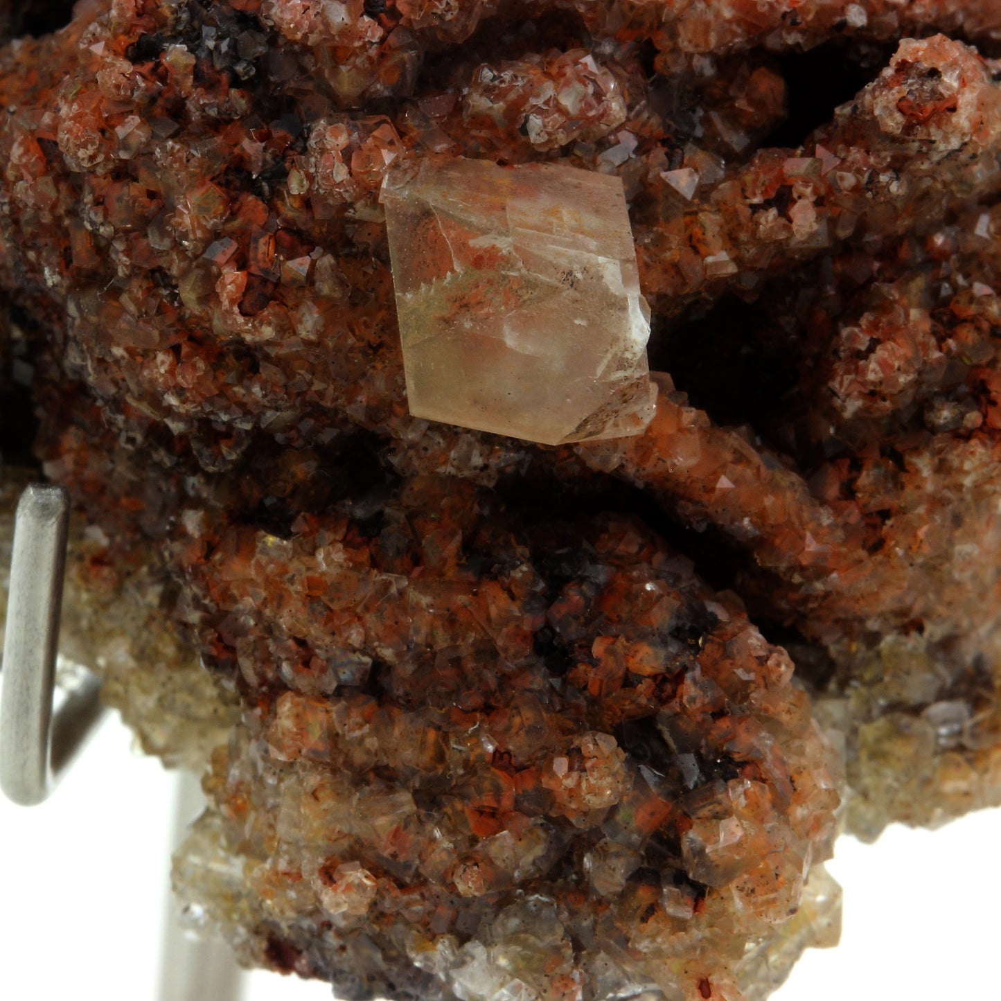 Calcite, 504.5 carats, Chihuahua, Mexique