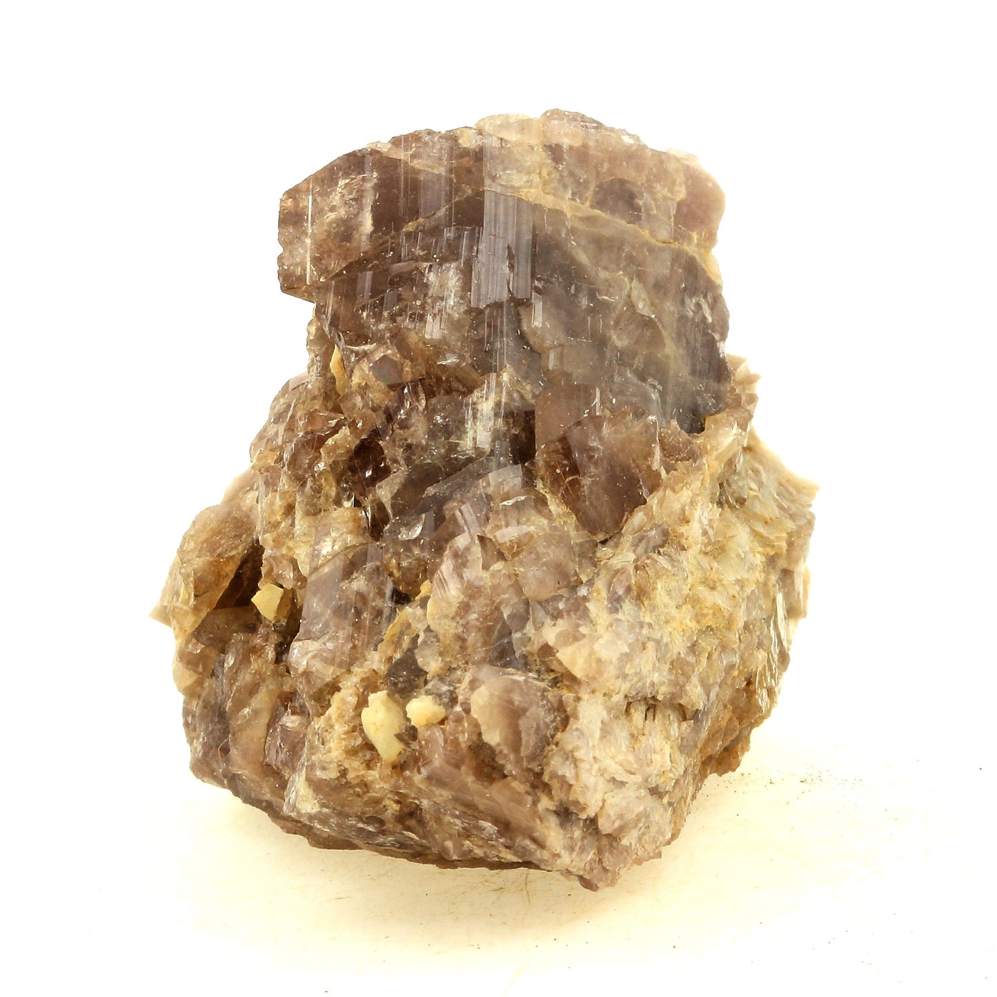 Axinite. 330.0 carats. Chamrousse, Isère, France