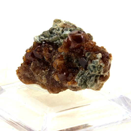 Grenat Hessonite. 56.0 carats. Val de Suza, Piedmont, Italie