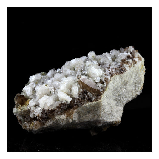 Quartz + Chlorite + Albite + Calcite en provenance de Plan-du-Lac, Oisans, France