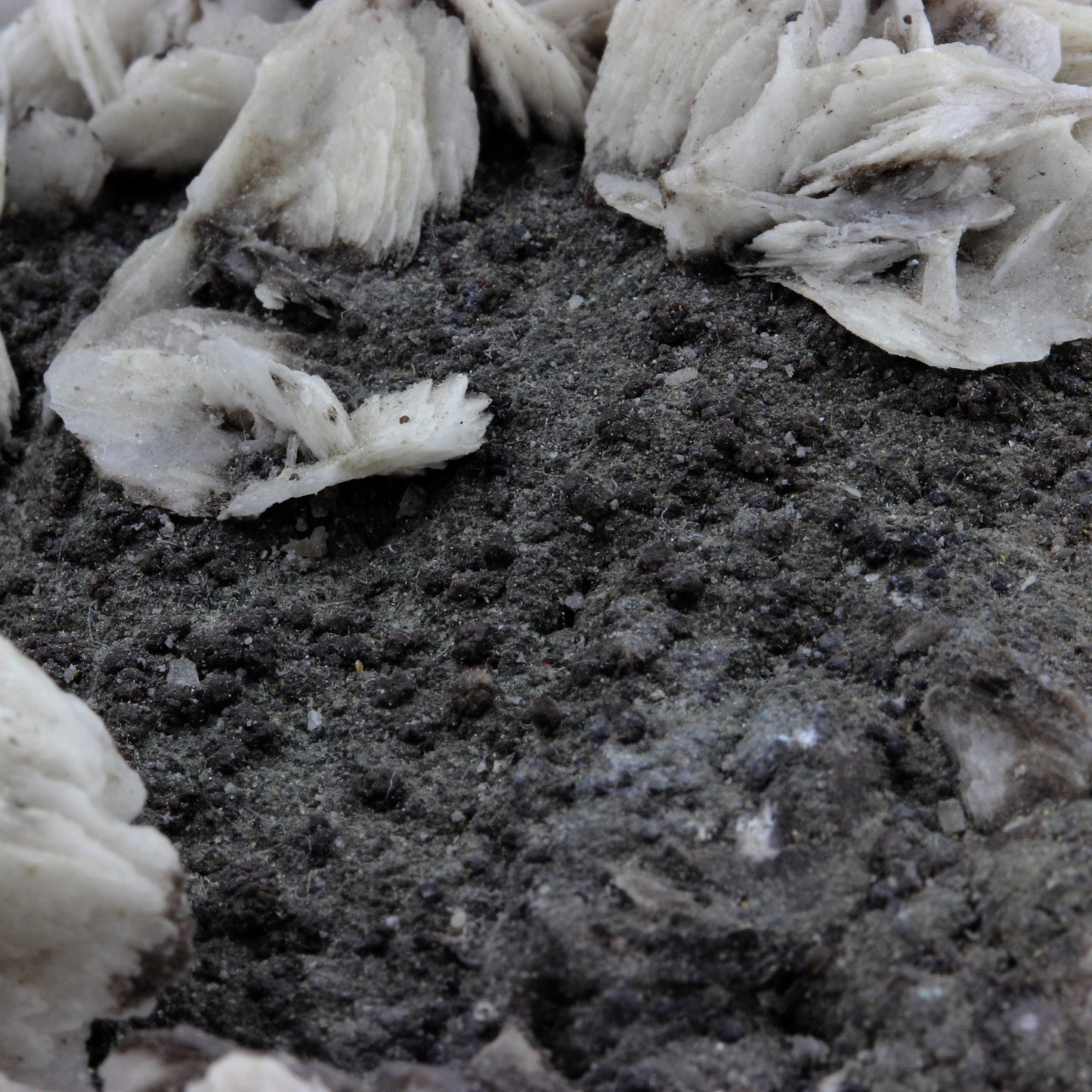 Baryte + Sphalerite. 1294.5 carats. La Sanguinéde mine, Saint-Laurent-le-Minier, France