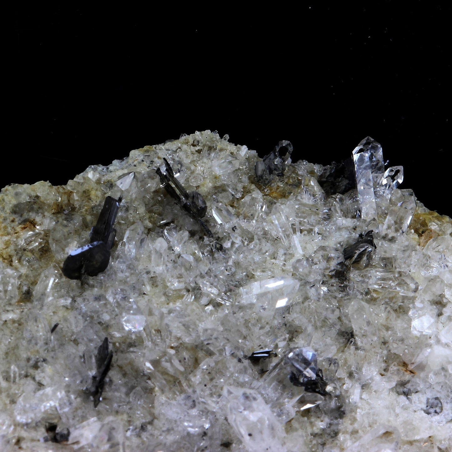 Brookite. 806.0 carats. Jarrier, Maurienne, Savoie, France