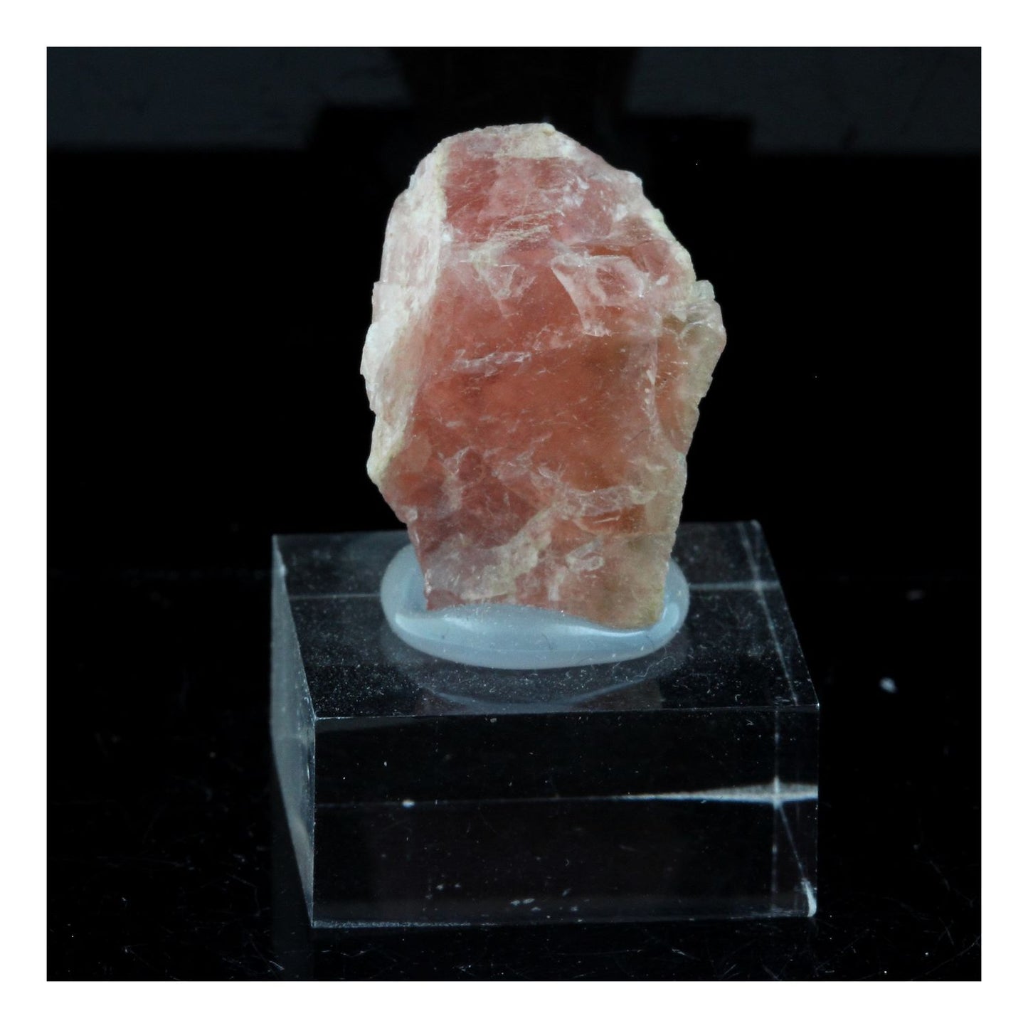 Fluorite rose. 43.27 carats. Massif du Mont-Blanc, France