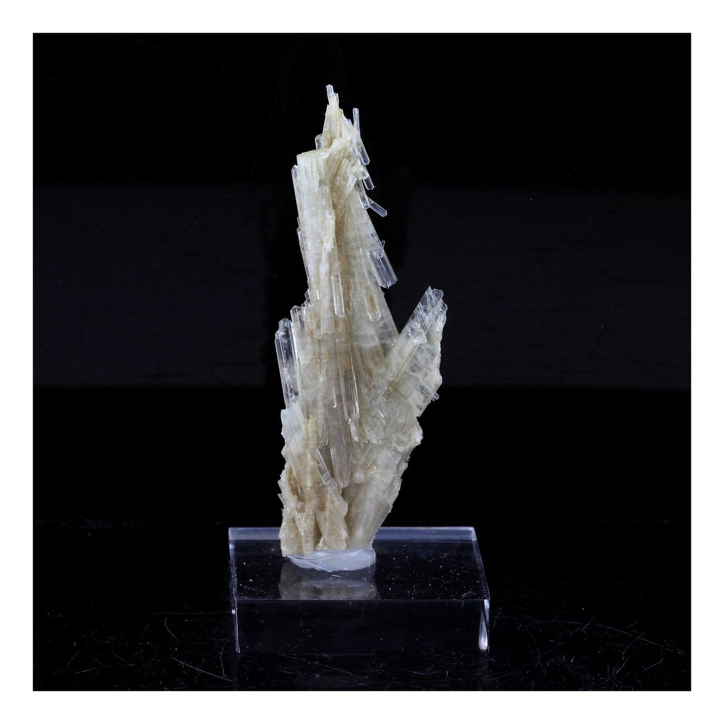 Clinozoisite. 19.0 carats. Marine de Scala, Canari, Haute-Corse, France