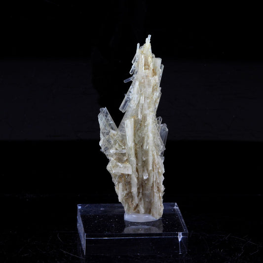 Clinozoisite. 19.0 carats. Marine de Scala, Canari, Haute-Corse, France