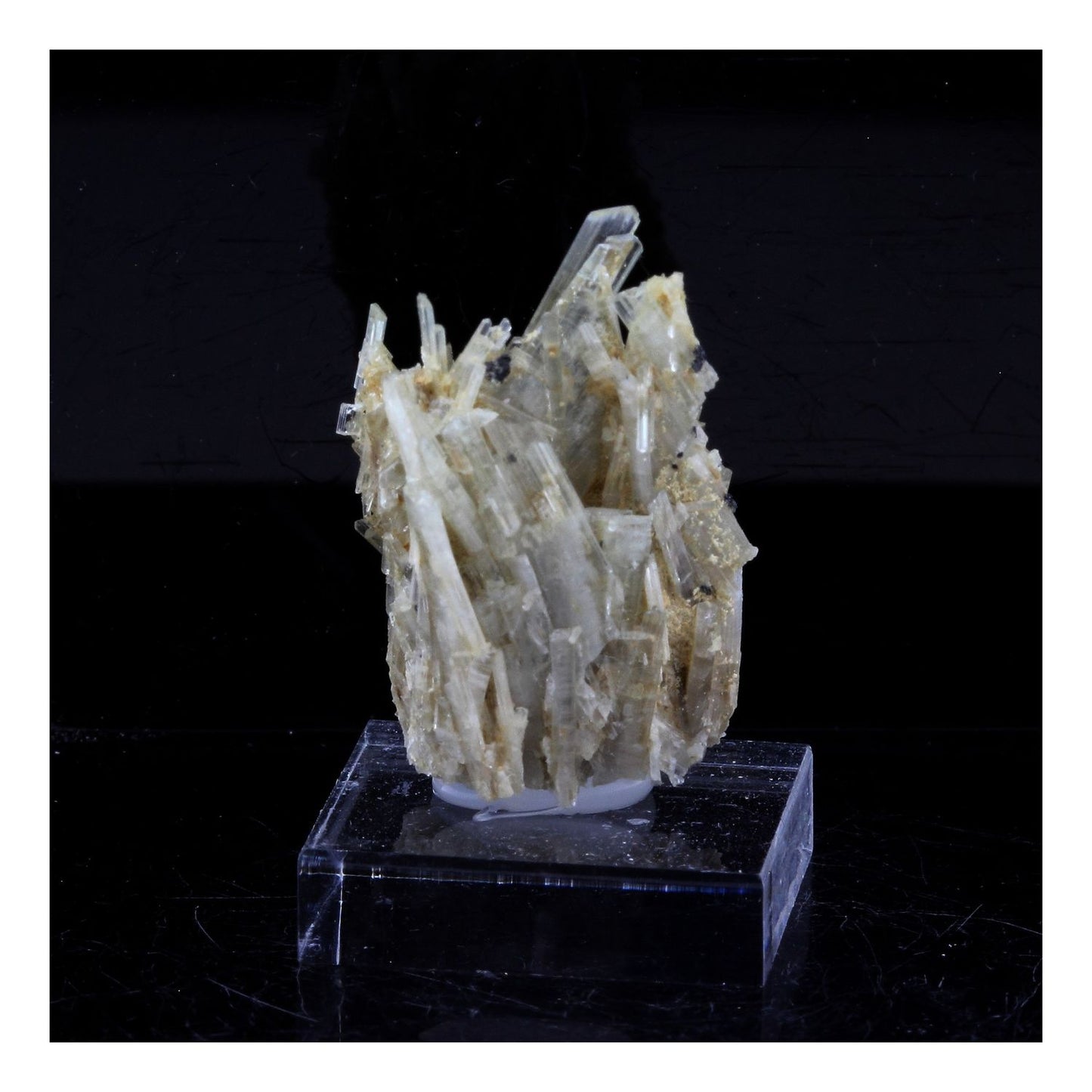 Clinozoisite. 31.0 carats. Marine de Scala, Canari, Haute-Corse, France