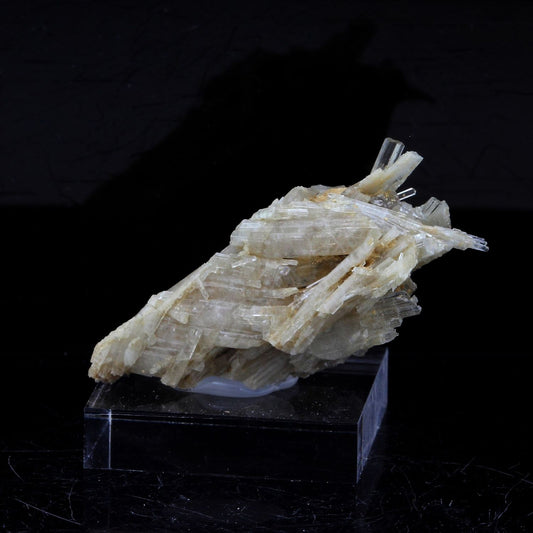 Clinozoisite. 36.0 carats. Marine de Scala, Canari, Haute-Corse, France