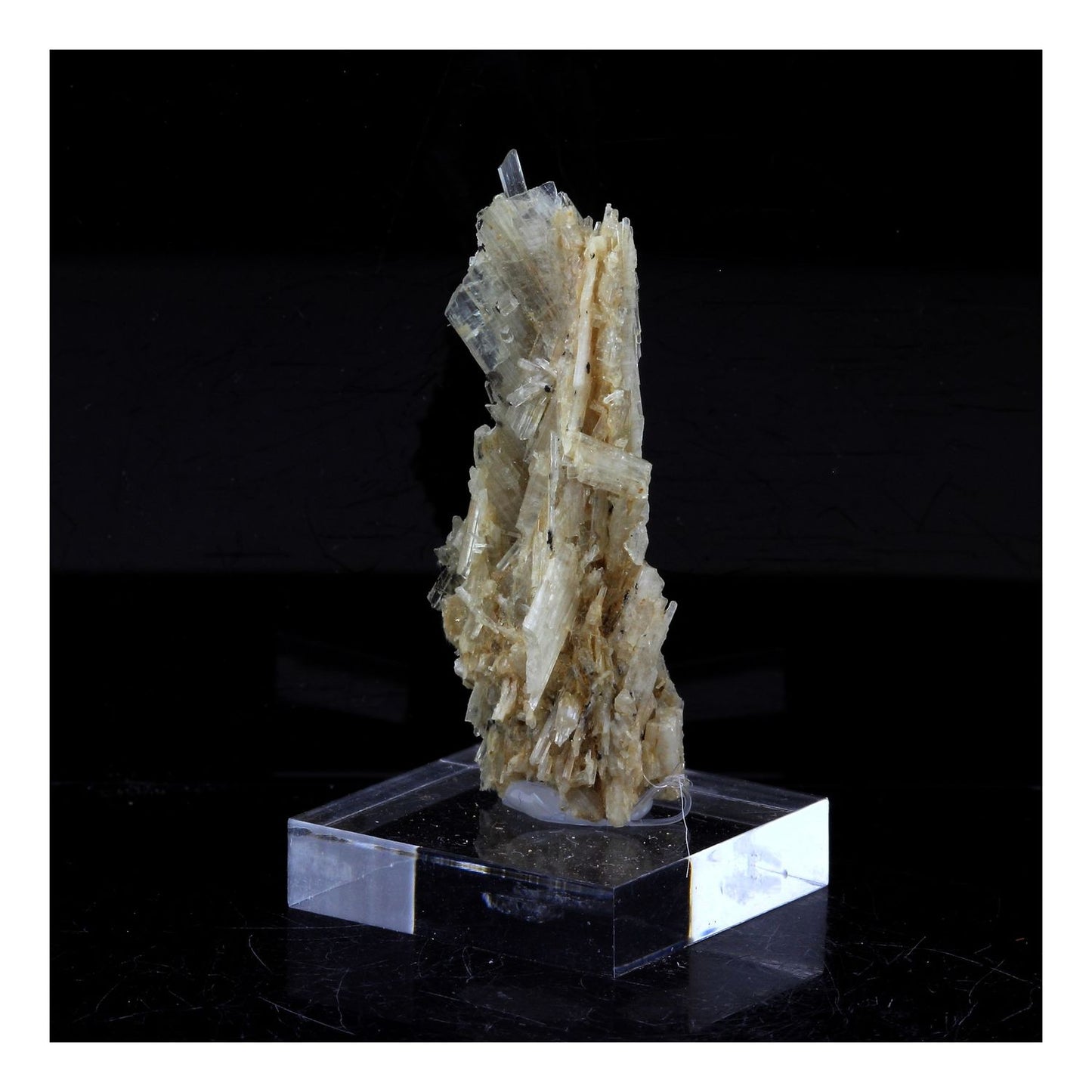 Clinozoisite. 29.0 carats. Marine de Scala, Canari, Haute-Corse, France