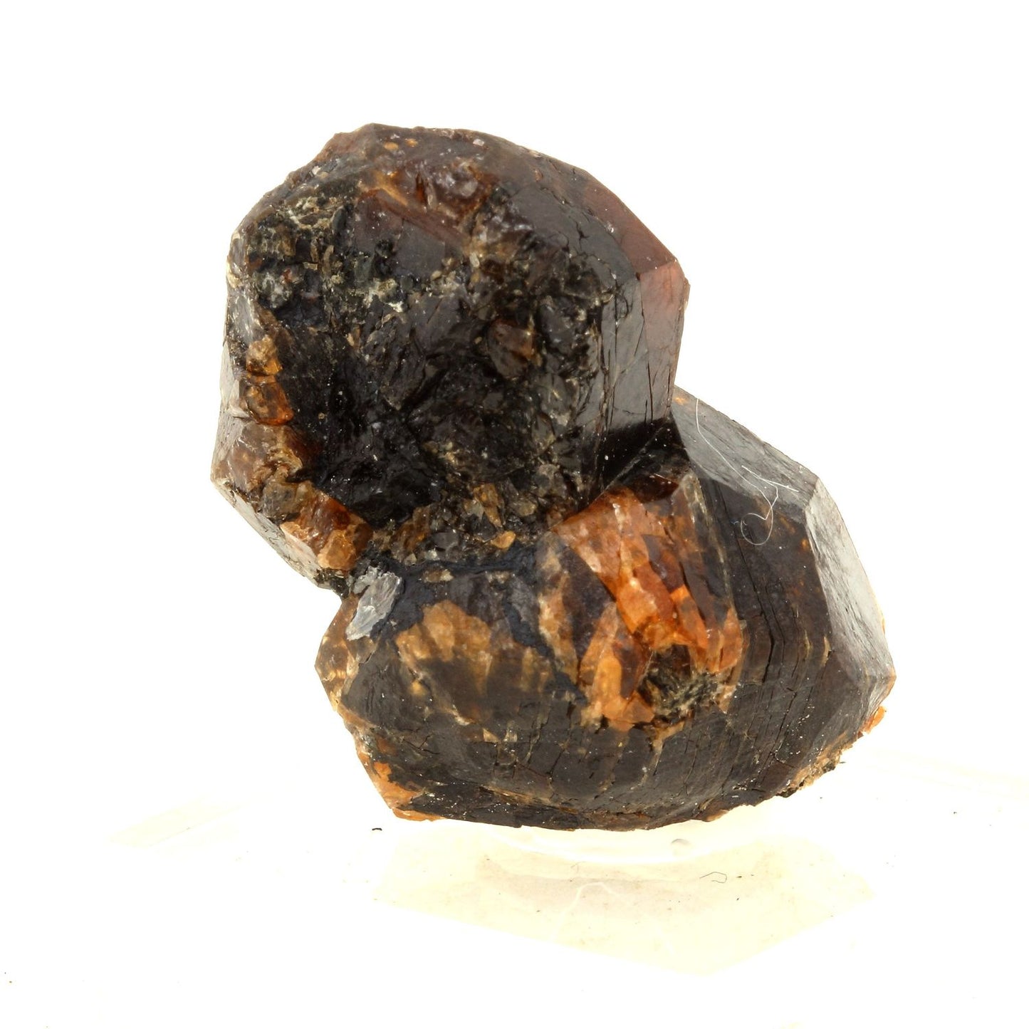 Grenat + Tourmaline. 156.5 carats. Sahanivotry Manandona, Madagascar