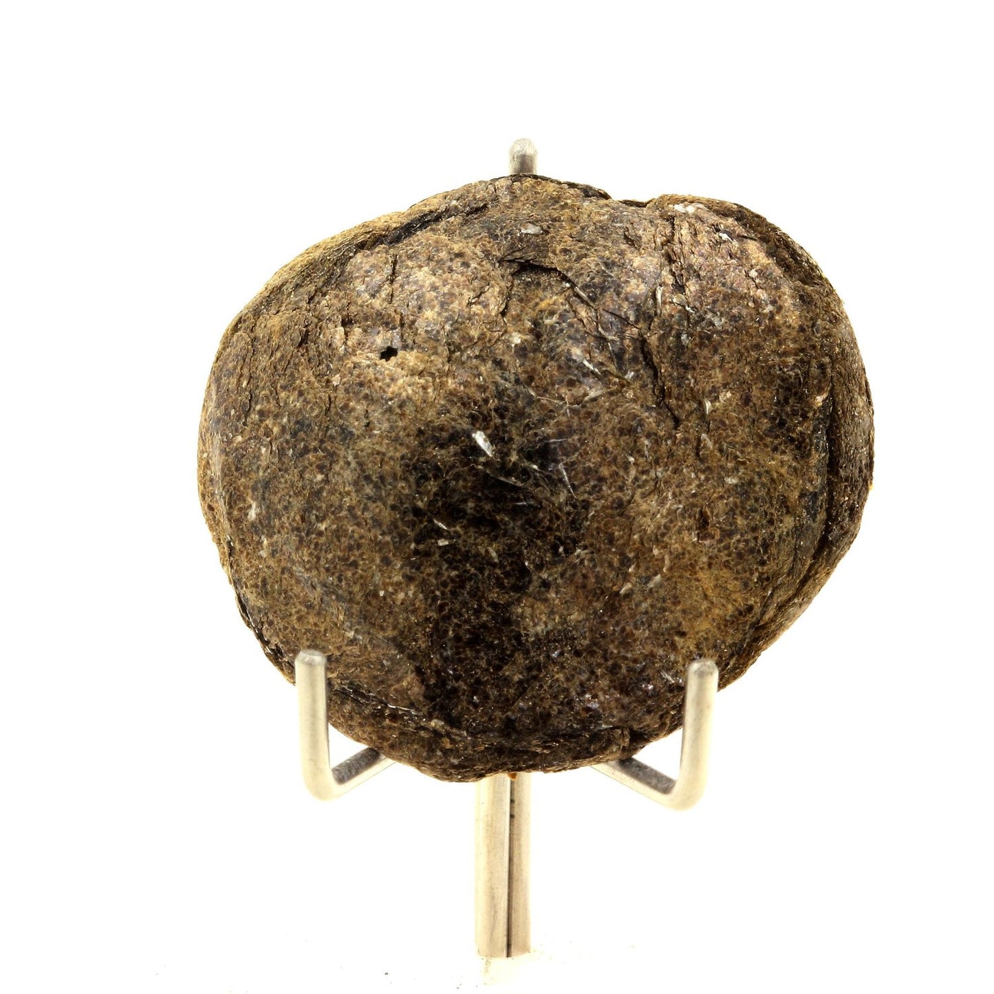 Biotite. 84.58 carats. Freita Mountain, Arouca, Aveiro, Portugal