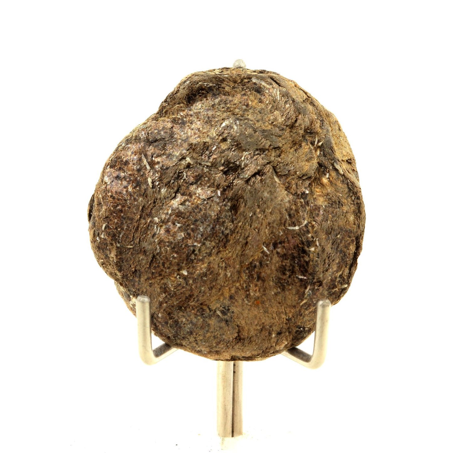 Biotite. 81.46 carats. Freita Mountain, Arouca, Aveiro, Portugal