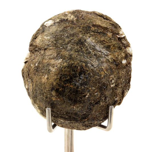 Biotite. 145.5 carats. Freita Mountain, Arouca, Aveiro, Portugal