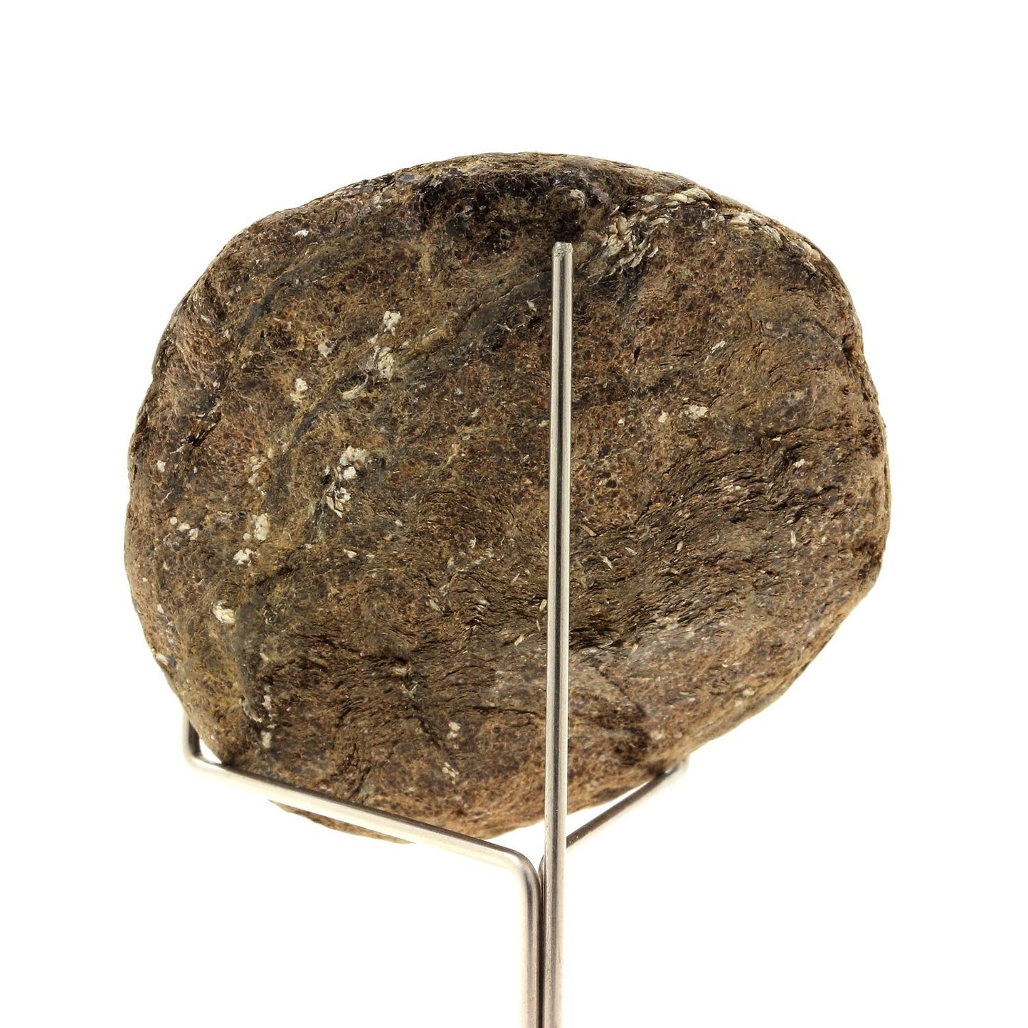 Biotite. 502.5 carats. Freita Mountain, Arouca, Aveiro, Portugal