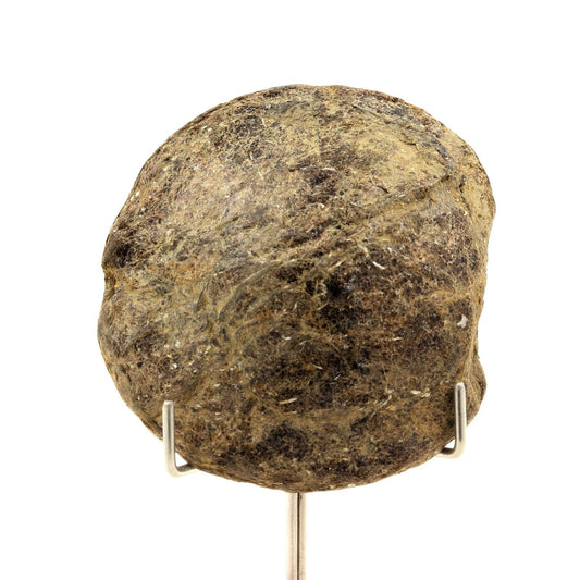 Biotite. 460.5 carats. Freita Mountain, Arouca, Aveiro, Portugal