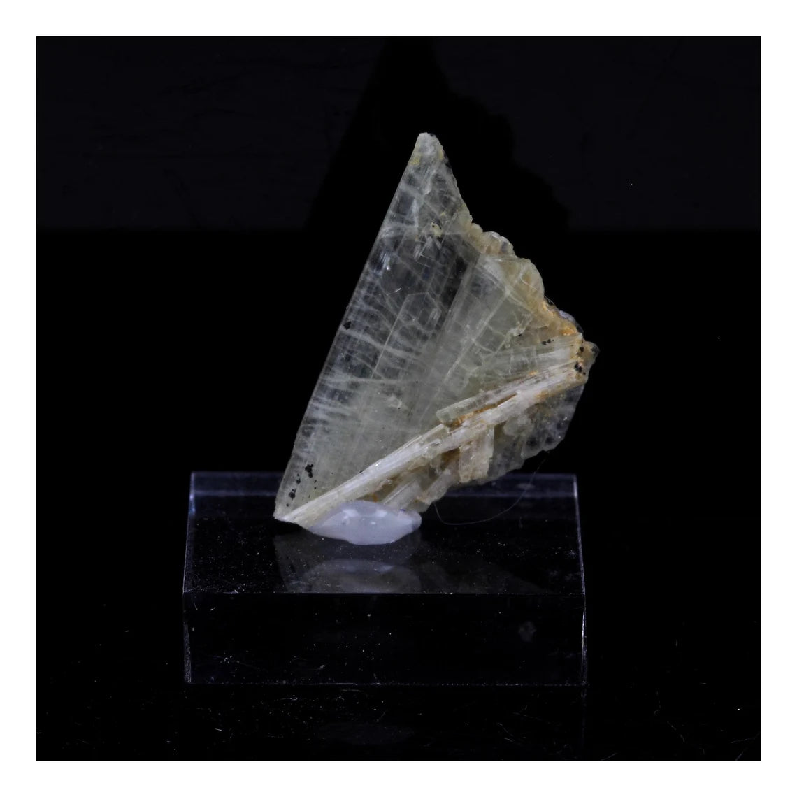 Clinozoisite. 15.69 carats. Marine de Scala, Canari, Haute-Corse, France