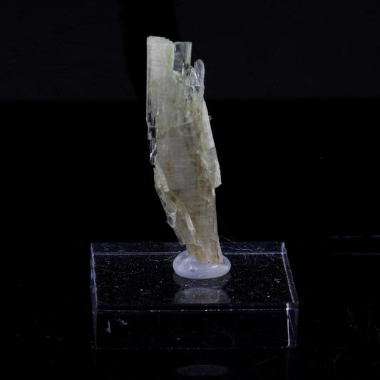 Clinozoisite. 14.60 carats. Marine de Scala, Canari, Haute-Corse, France