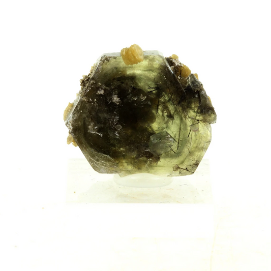 Apatite + Muscovite. 34.13 carats. Panasqueira Mines, Covilhã, Portugal