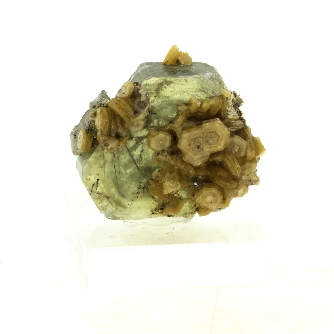 Apatite + Muscovite. 34.13 carats. Panasqueira Mines, Covilhã, Portugal