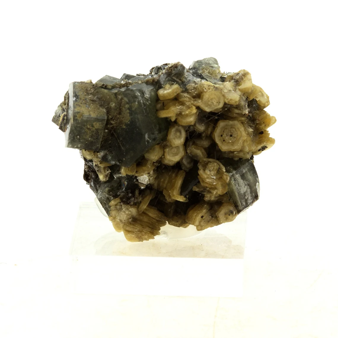 Apatite + Muscovite. 49.74 carats. Panasqueira Mines, Covilhã, Portugal