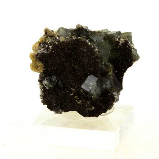 Apatite + Muscovite. 49.74 carats. Panasqueira Mines, Covilhã, Portugal