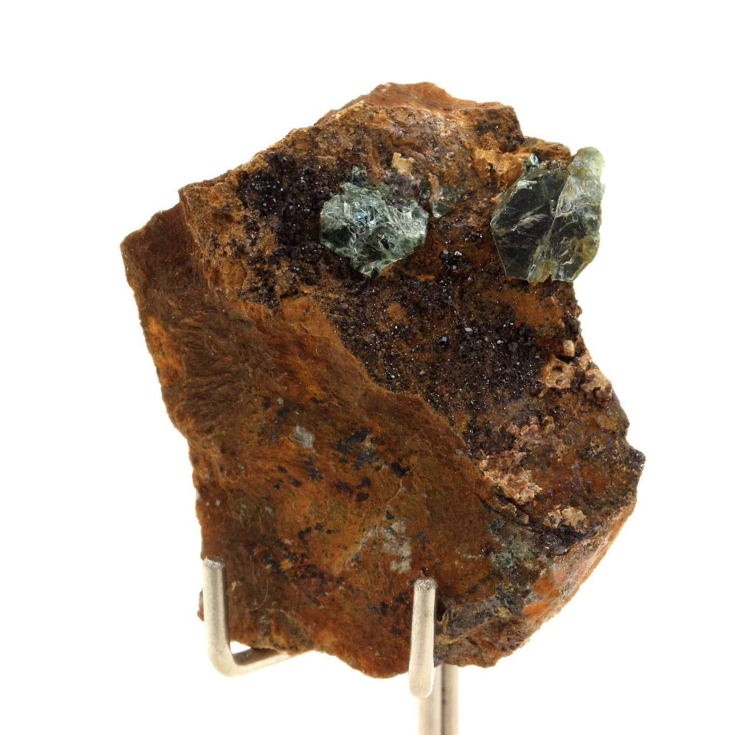 Vesuvianite + Clinochlore. 152.5 carats. Rocher de Farinole, Olmeta-di-Capocorso, Haute-Corse, France