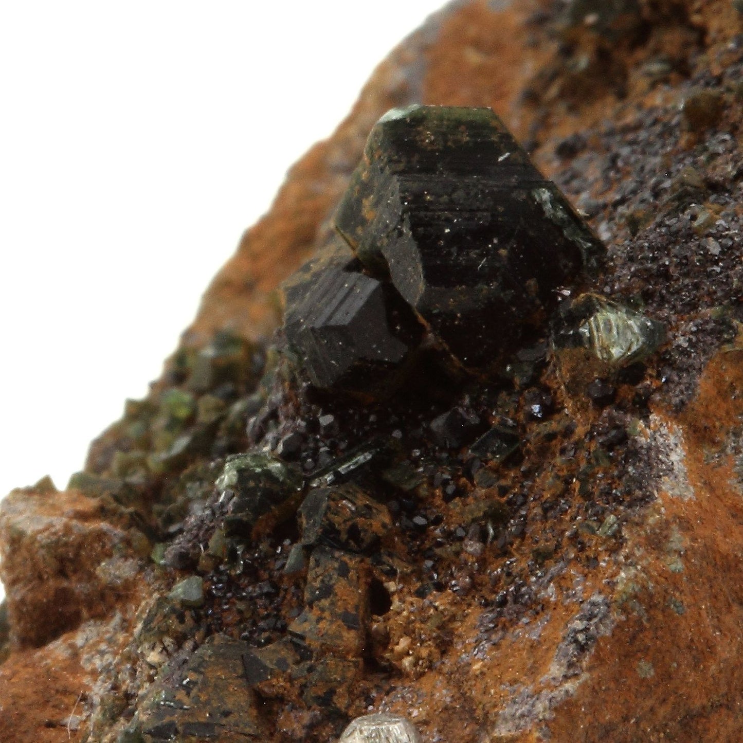 Vesuvianite + Clinochlore. 52.03 carats. Rocher de Farinole, Olmeta-di-Capocorso, Haute-Corse, France