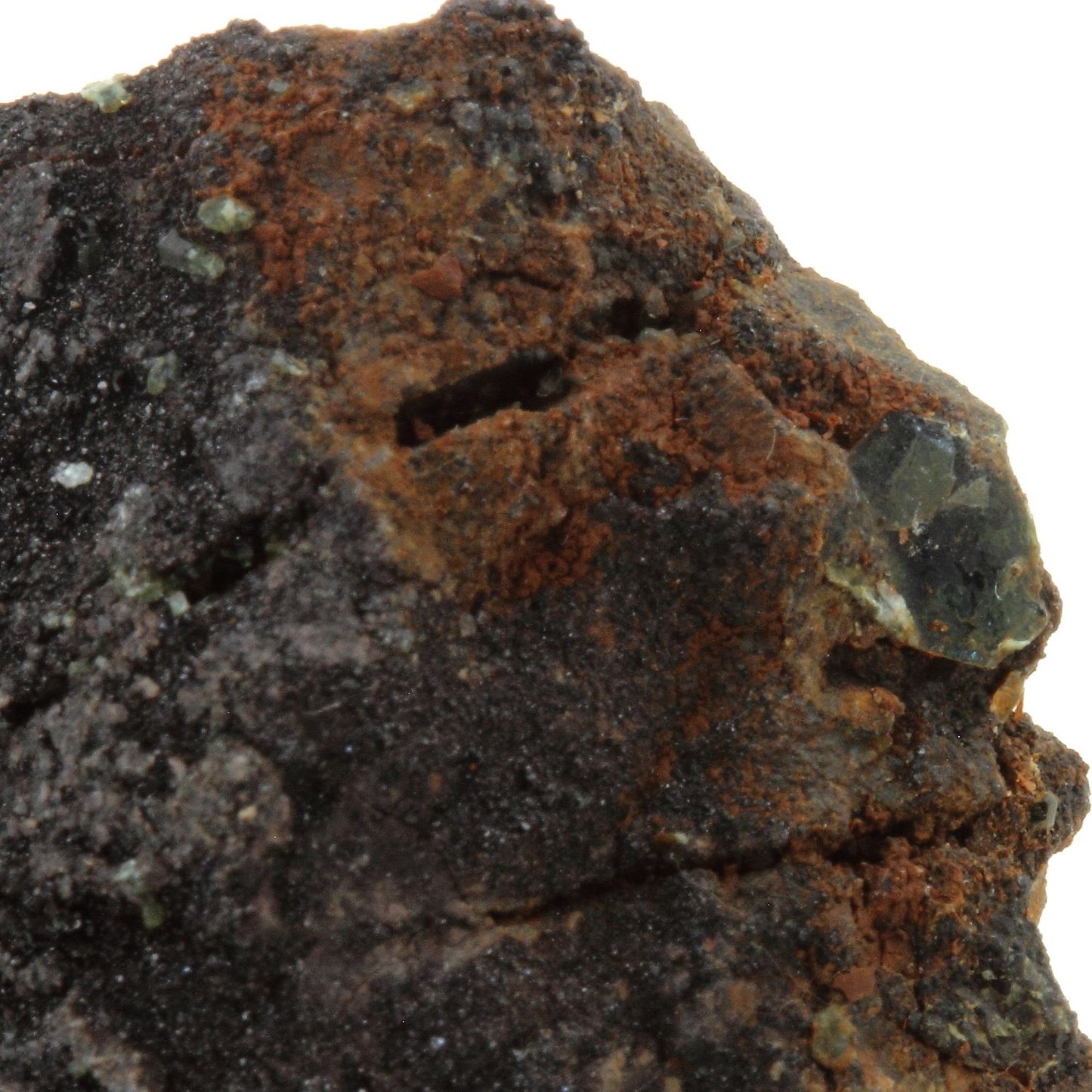 Vesuvianite + Clinochlore. 80.0 carats. Rocher de Farinole, Olmeta-di-Capocorso, Haute-Corse, France