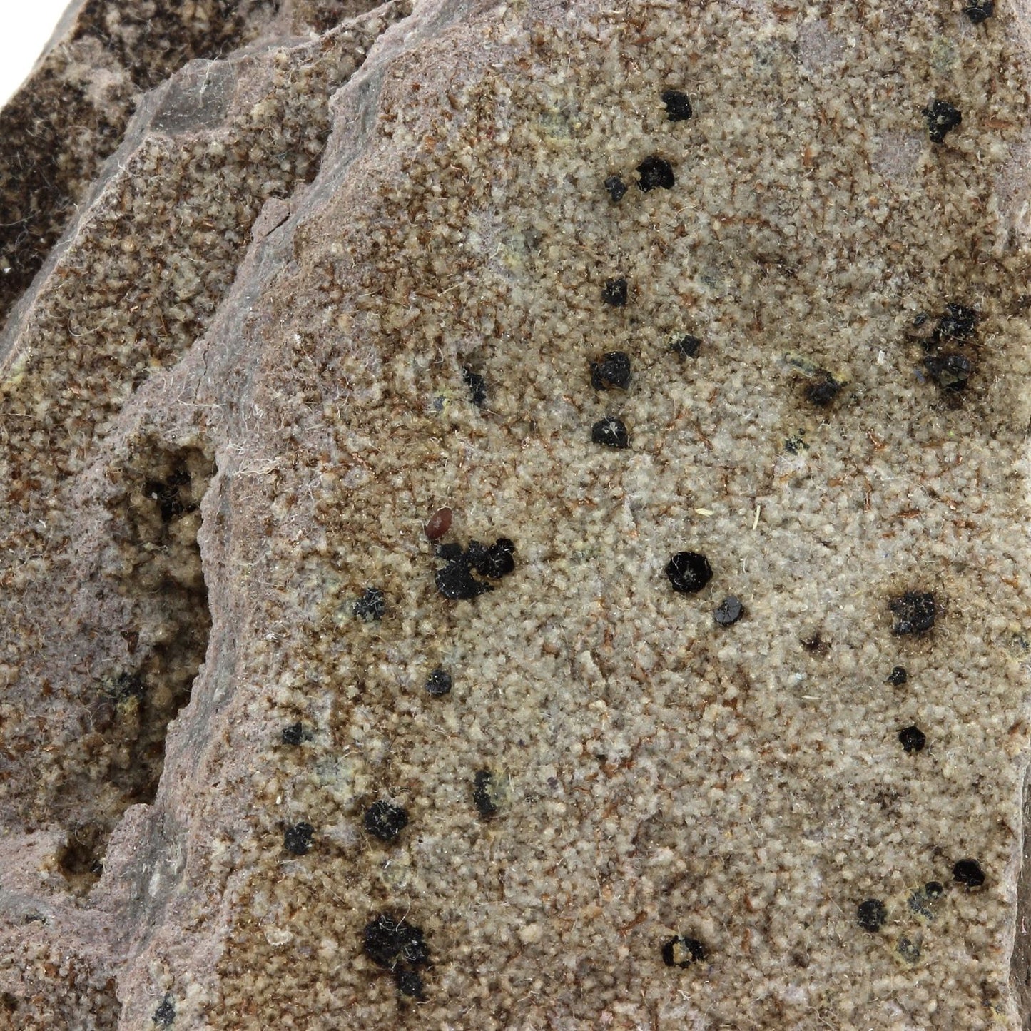 Osumilite, 595.0 carats, Funtanafigu Quarry, Marrubiu, Oristano Province, Sardinia, Italie