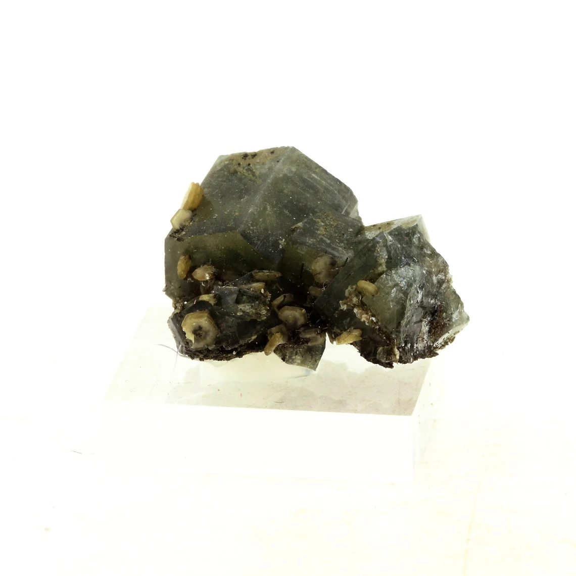 Apatite + Muscovite. 33.05 carats. Panasqueira Mines, Covilhã, Portugal