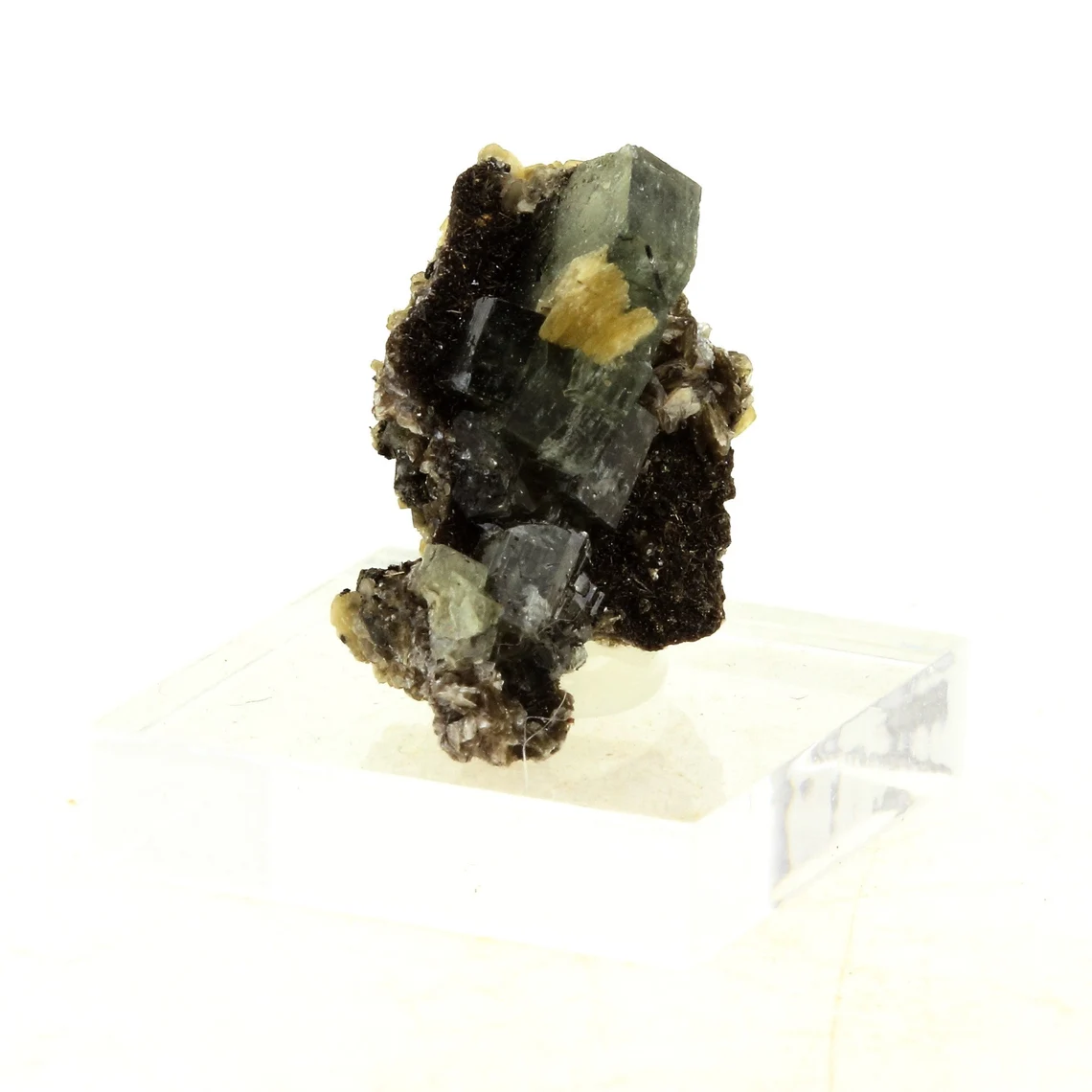 Apatite + Muscovite. 23.16 carats. Panasqueira Mines, Covilhã, Portugal