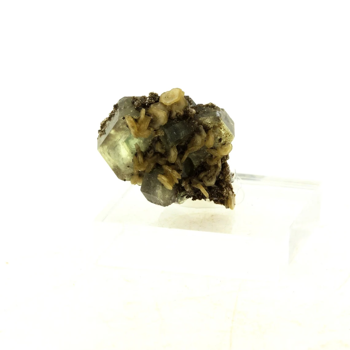 Apatite + Muscovite. 19.45 carats. Panasqueira Mines, Covilhã, Portugal