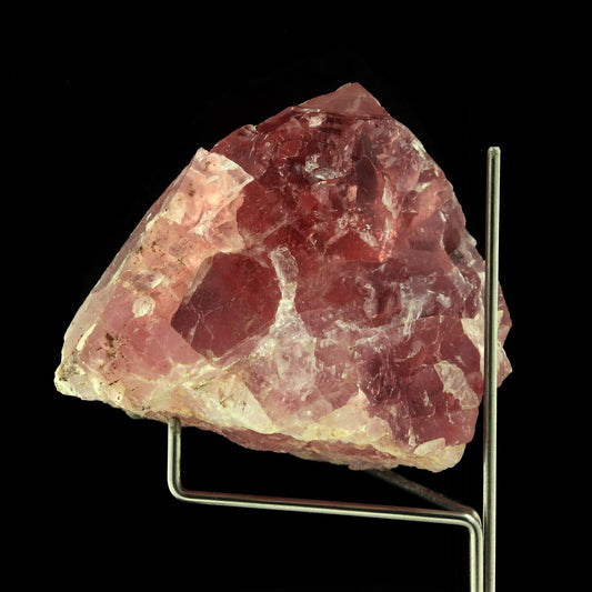 Fluorite Rose. 868.50 carats. Talèfre, Massif du Mont-Blanc, France