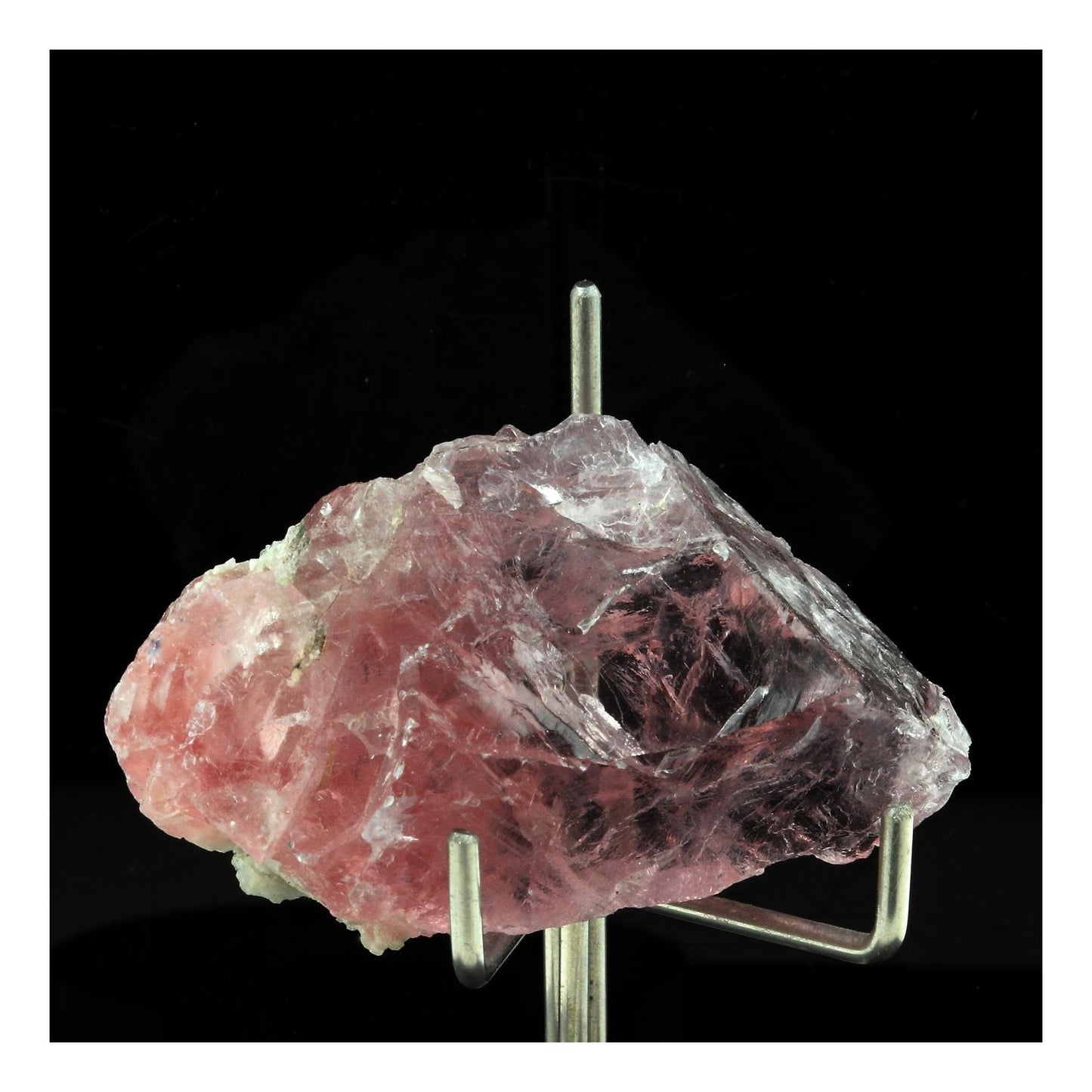 Fluorite Rose. 146.0 carats. Talèfre, Massif du Mont-Blanc, France