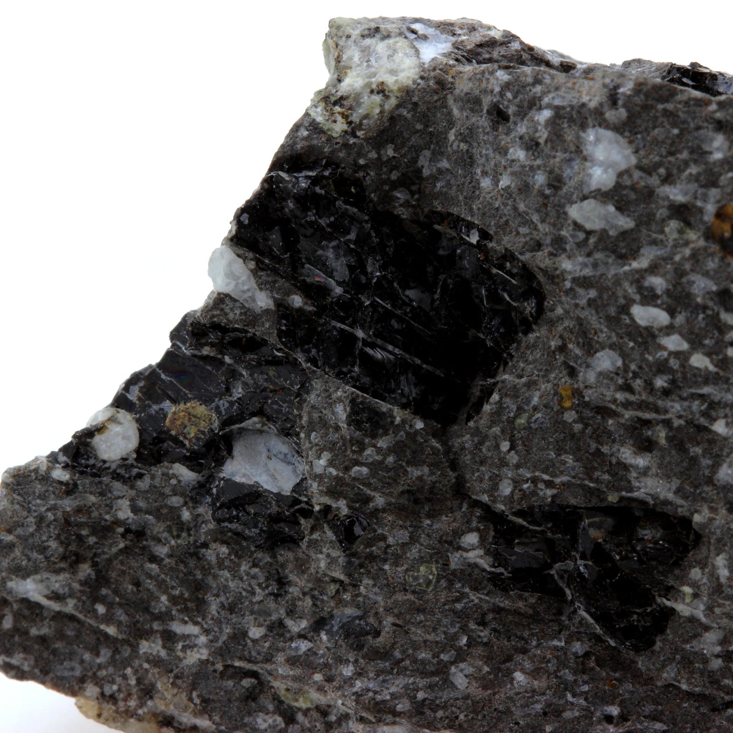 Kaersutite 216.4 carats. Arizona, USA